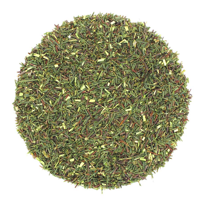 Green Africa- Rooibos Vert Nature Bio The Socitea